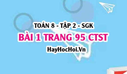 Bài 1 trang 95 Toán 8 Tập 2 Chân trời sáng tạo